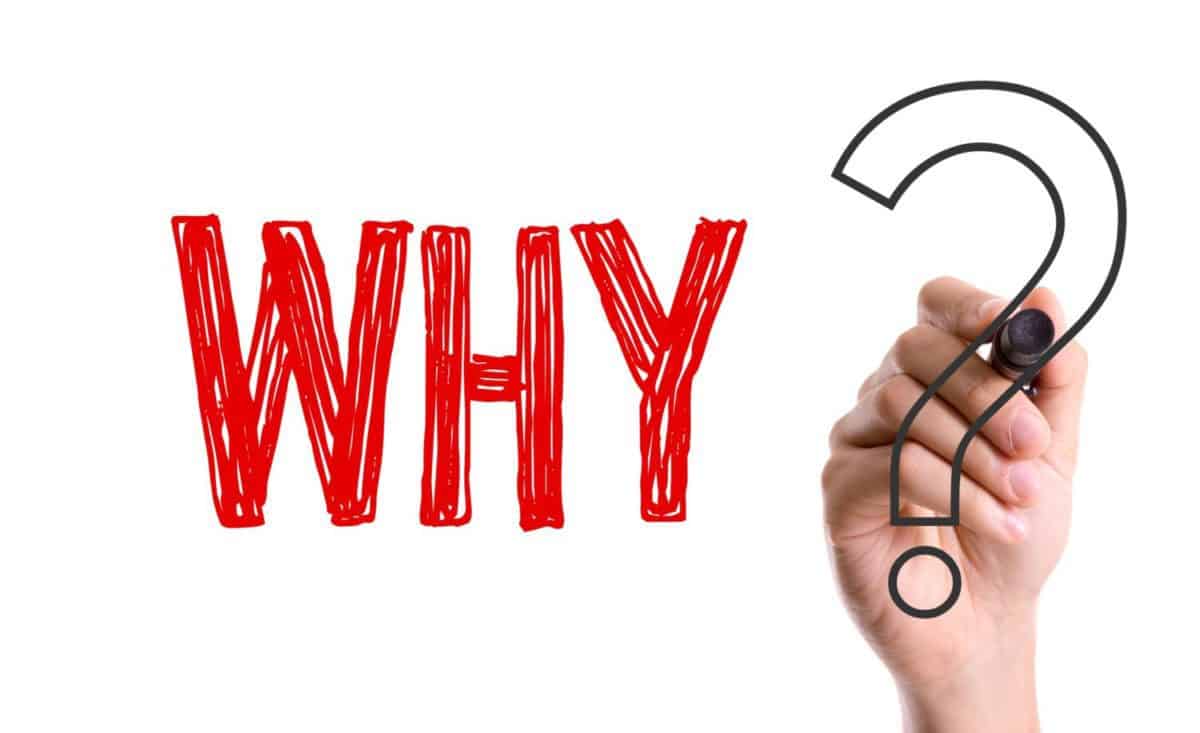 Executive Sales Leader Briefing: Sales Leadership is All About the “Why”